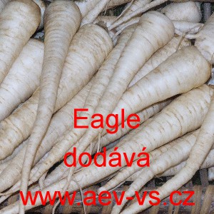 Petržel kořenov&aacute; Eagle