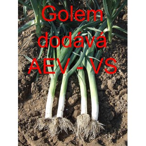 P&oacute;r zahradn&iacute; Golem