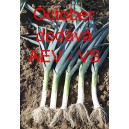 P&oacute;r zahradn&iacute; October