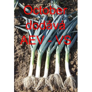 P&oacute;r zahradn&iacute; October