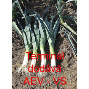 P&oacute;r zahradn&iacute; Terminal