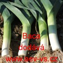 P&oacute;r zahradn&iacute; Baca