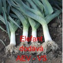 P&oacute;r zahradn&iacute; Elefant