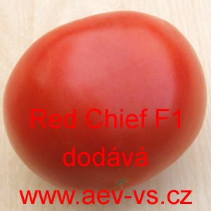 Rajče tyčkov&eacute; hybridn&iacute; Red Chief F1