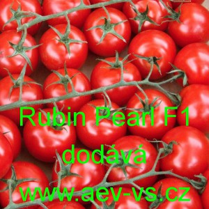 Rajče tyčkov&eacute; hybridn&iacute; Rubin Pearl F1