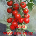 Rajče tyčkov&eacute; hybridn&iacute; Tyty F1