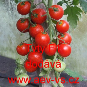 Rajče tyčkov&eacute; hybridn&iacute; Tyty F1