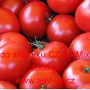 Rajče tyčkov&eacute; hybridn&iacute; červen&eacute; do sklen&iacute;ku CZ F1 Mix