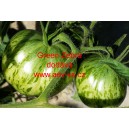 Rajče tyčkov&eacute; Green Zebra