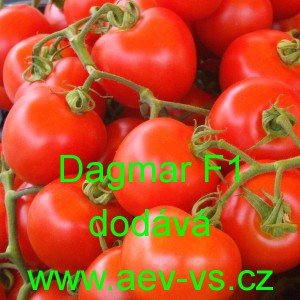 Rajče tyčkov&eacute; hybridn&iacute; Dagmar F1