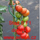 Rajče tyčkov&eacute; hybridn&iacute; Start S F1