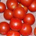 Rajče tyčkov&eacute; hybridn&iacute; Tipo F1