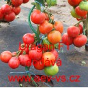 Rajče tyčkov&eacute; hybridn&iacute; Uragan F1