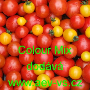 Rajče tyčkov&eacute; Colour Mix