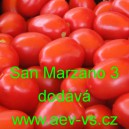 Rajče tyčkov&eacute; San Marzano 3