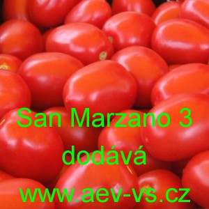 Rajče tyčkov&eacute; San Marzano 3