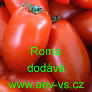 Rajče polotyčkov&eacute; Roma