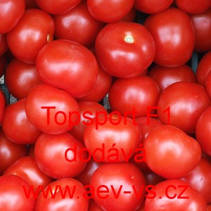 Rajče balkonov&eacute; hybridn&iacute; Topsport F1