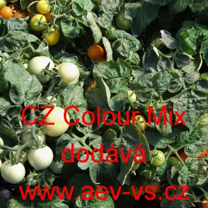 Rajče balkonov&eacute; CZ Colour Mix