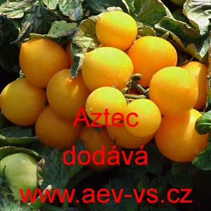 Rajče balkonov&eacute; Aztek