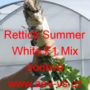 Ředkev set&aacute; hybridn&iacute; Rettich Summer White F1 Mix