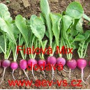 Ředkvička Fialov&aacute; Mix