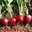 Ředkvička hybridn&iacute; Irene F1