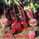 Řepa červen&aacute; sal&aacute;tov&aacute; Crosby Egyptian