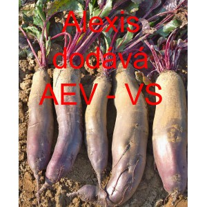 Řepa červen&aacute; sal&aacute;tov&aacute; Alexis