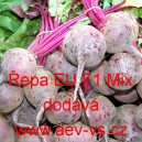 Řepa červen&aacute; sal&aacute;tov&aacute; hybridn&iacute; EU F1 Mix