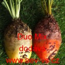 Řepa krmn&aacute; Duo Mix, směs.