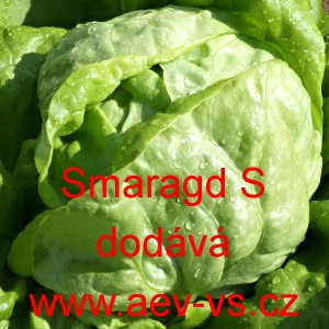 Sal&aacute;t hl&aacute;vkov&yacute; Smaragd S