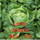 Sal&aacute;t hl&aacute;vkov&yacute; Lento