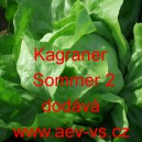 Sal&aacute;t hl&aacute;vkov&yacute; Kagraner Sommer 2
