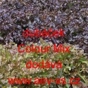 Sal&aacute;t listov&yacute; dub&aacute;ček Colour Mix