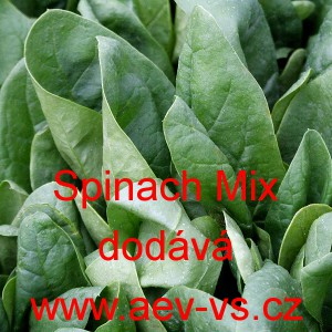 &Scaron;pen&aacute;t set&yacute; zeln&yacute; Spinach Mix