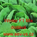 &Scaron;pen&aacute;t set&yacute; zeln&yacute; hybridn&iacute; Winter F1 Mix