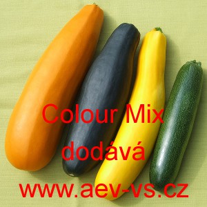 Tykev obecn&aacute; cuketa Colour Mix