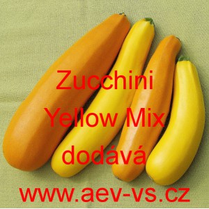 Tykev obecn&aacute; cuketa Zucchini Yellow Mix
