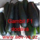 Tykev obecn&aacute; cuketa hybridn&iacute; Gambit F1