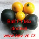 Tykev obecn&aacute; cuketa hybridn&iacute; kulat&aacute; Ball F1 Mix