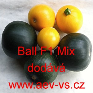 Tykev obecn&aacute; cuketa hybridn&iacute; kulat&aacute; Ball F1 Mix