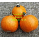 Tykev obecn&aacute; cuketa hybridn&iacute; kulat&aacute; One Ball F1