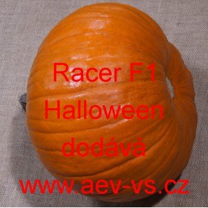 Tykev obecn&aacute; hybridn&iacute; Racer F1 Halloween