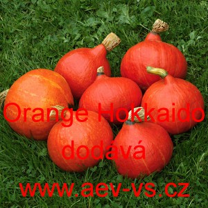 Tykev velkoplod&aacute; Orange Hokkaido