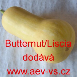 Tykev pižmov&aacute; mu&scaron;k&aacute;tov&aacute; Butternut/Liscia