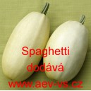Tykev obecn&aacute; &scaron;pagetov&aacute; Spaghetti