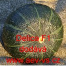 Tykev obecn&aacute; hybridn&iacute; Delica F1