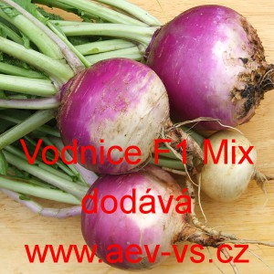 Vodnice brukev řep&aacute;k hybridn&iacute; F1 Mix