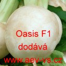 Vodnice brukev řep&aacute;k hybridn&iacute; Oasis F1